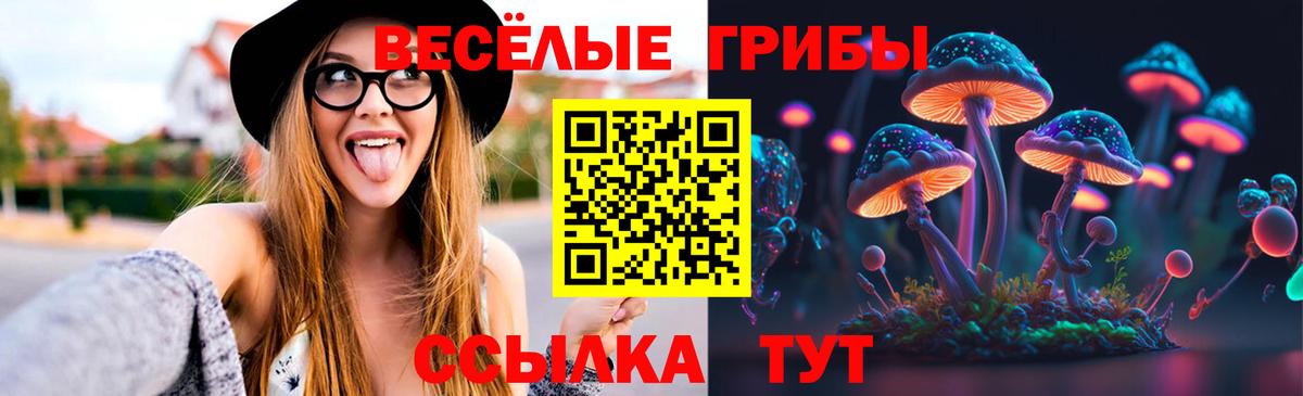 Псилоцибиновые грибы MAGIC MUSHROOMS  Псилоцибиновые грибы прущие грибы  Семёнов  Вход с VPN 